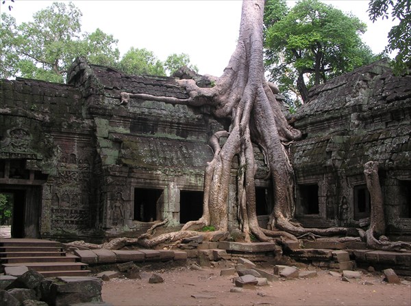 11 Камбоджа, Ангкор